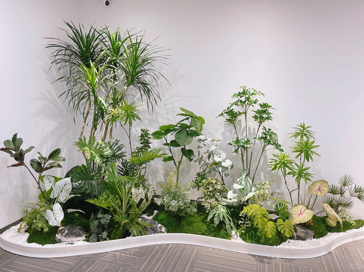 海曙花卉租赁经验-宁波花卉租摆花盆-海曙绿色植物租用商家-镇海花木租摆折扣